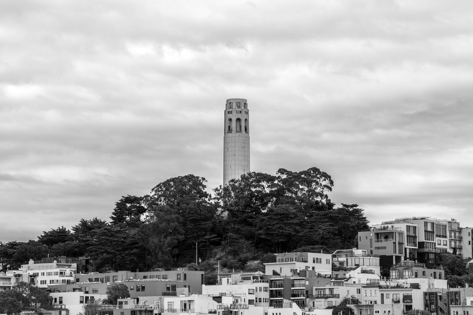Stunning black and white view of Coit Tower, a landmark in San Francisco, CA.
